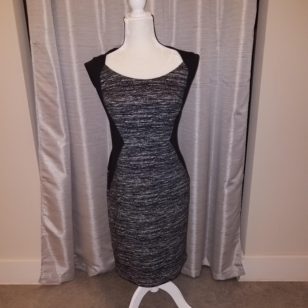 Ann Taylor Black and White Marled Dress